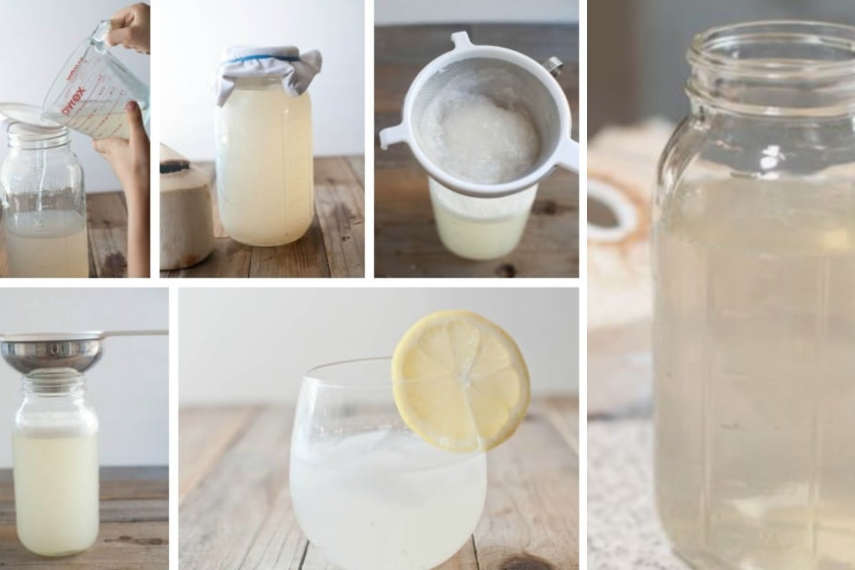 ecco come preparare il kefir kefir all acqua