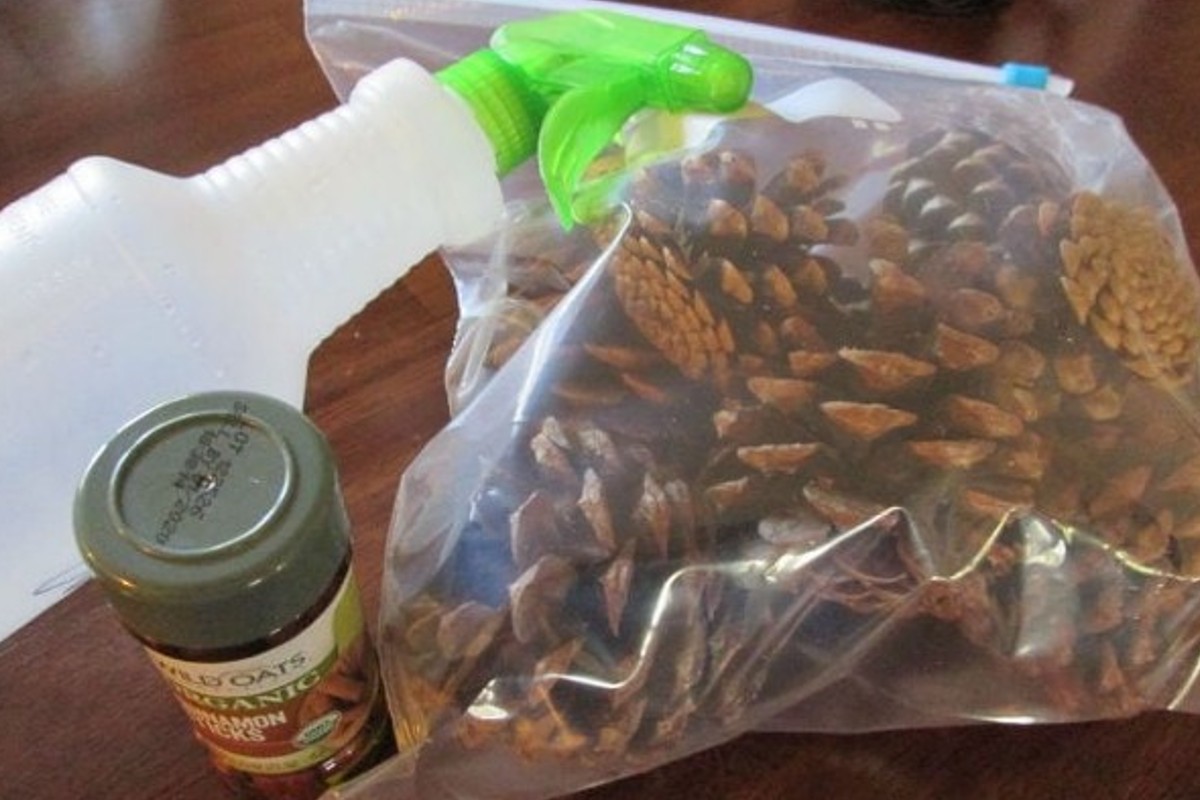 ecco come realizzare in meno coni profumati con le pigne