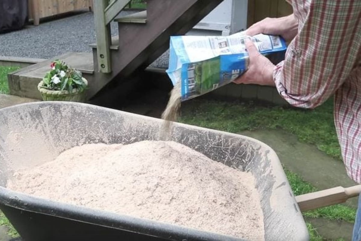 ecco come far ricrescere velocemente come far ricrescere lerba in giardino