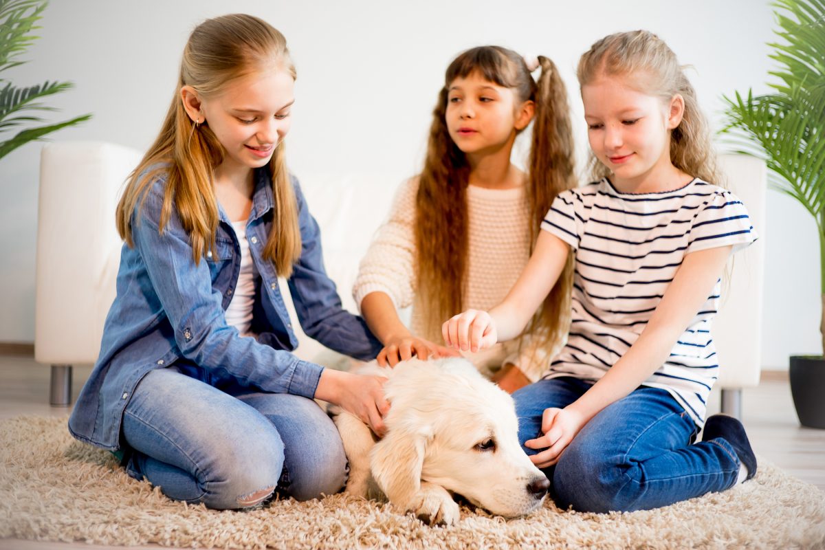 ecco come disinfettare tappeti a AdobeStock 157170191