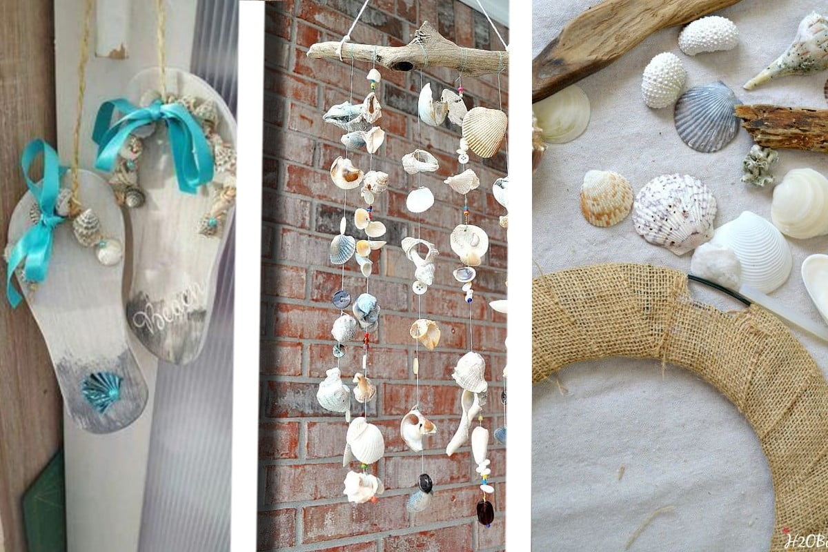 decorazioni con le conchiglie degli conchiglie