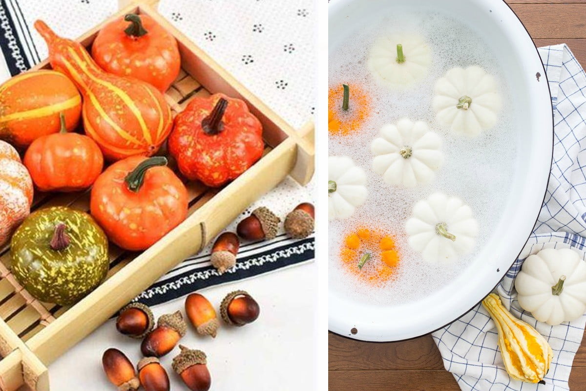 come conservare le zucche usando zucche ornamentali