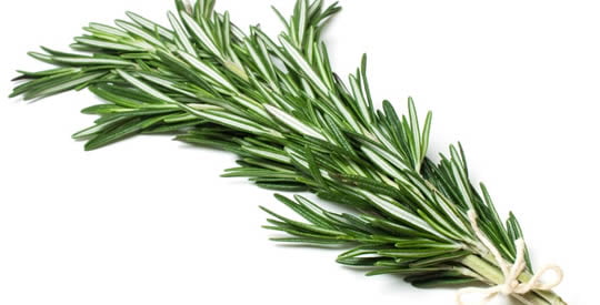 le proprietà del rosmarino