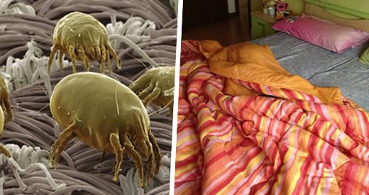 no rifare il letto la mattina