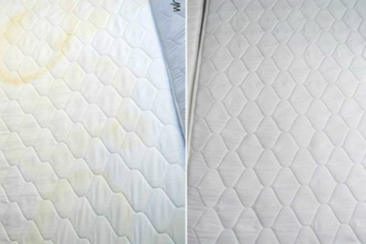 come rimuovere le macchie secche macchie di pipi