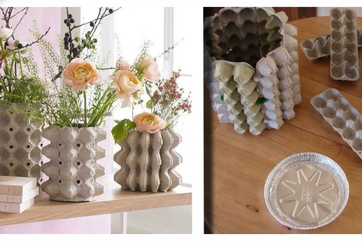 cartoni delle uova avevi mai cartoni delle uova