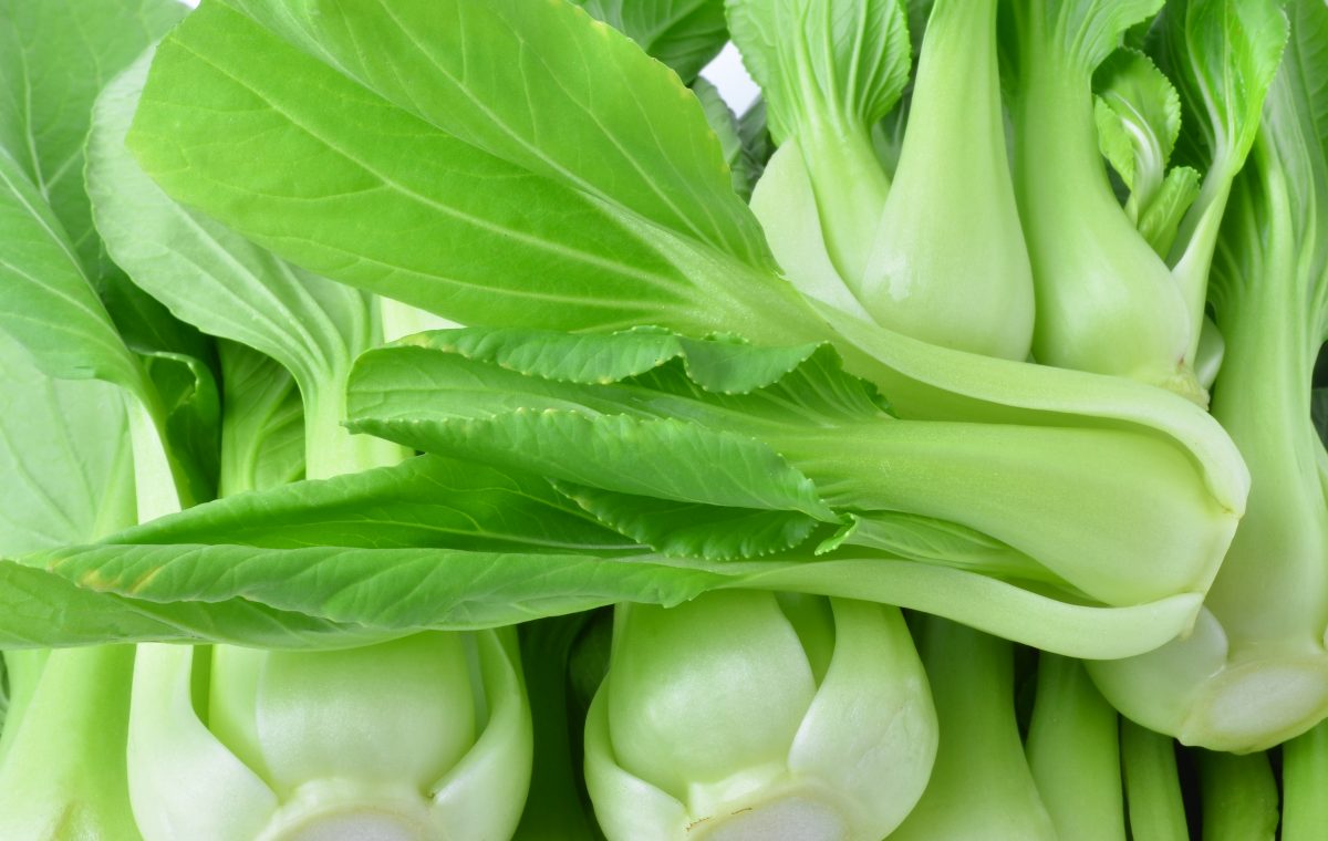 ecco i 14 alimenti vegetali AdobeStock 69915100