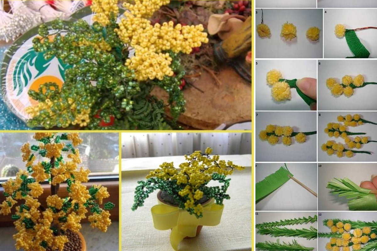 mimose fai da te varie mimose fai da te