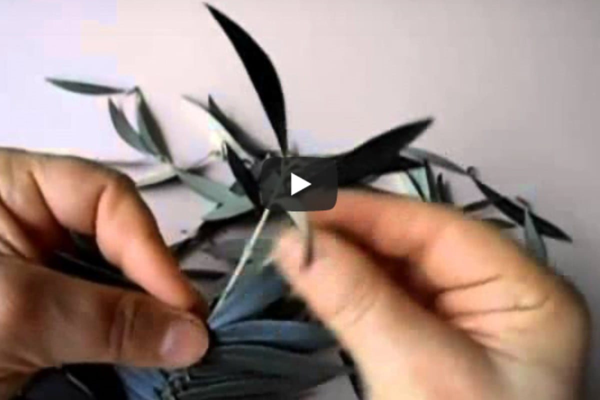 ulivo intrecciato per la domenica ulivo intrecciato