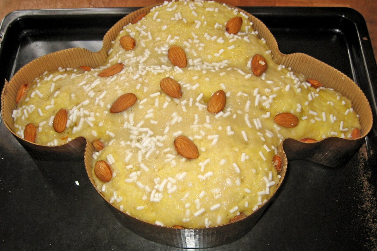 colomba di pasqua al pan colomba pan darancio