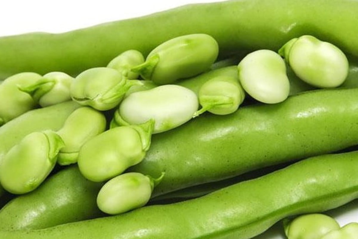 le incredibili proprieta benefiche delle proprieta delle fave 1