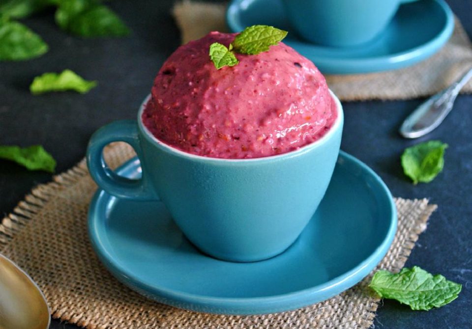 gelato fai da te ai frutti di bosco