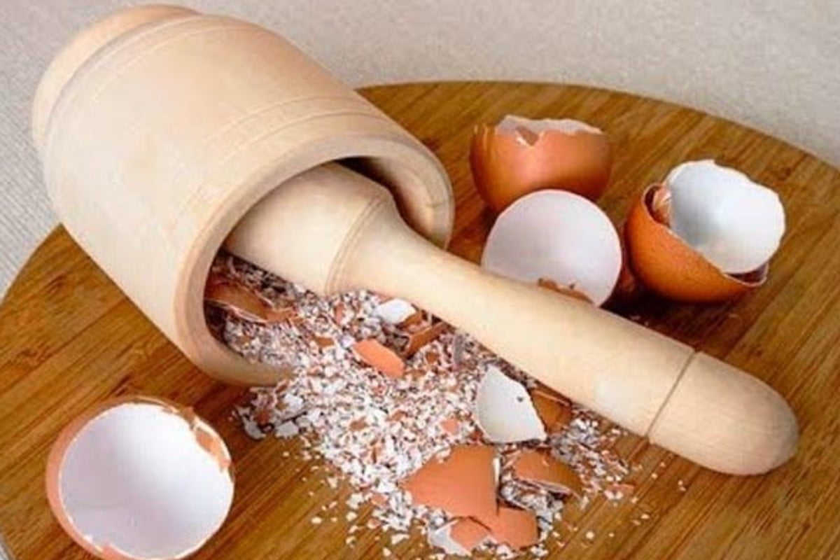 8 ragioni strane ma utilissime gusci uova