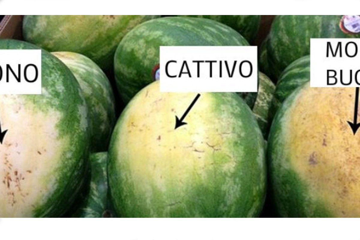 come scegliere unanguria 5 consigli scegliere i cocomeri