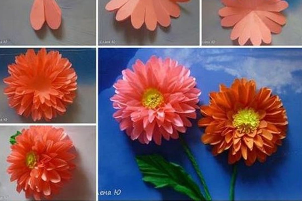 fiori di carta che sembrano fiori di carta fai da te