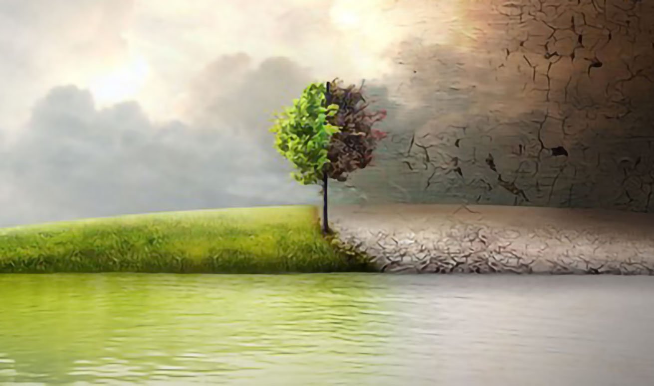 documentari-sull-ambiente