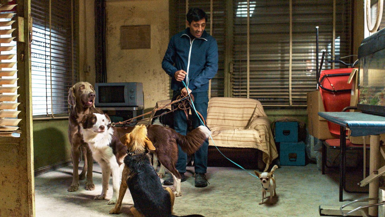 film-italiani-recenti