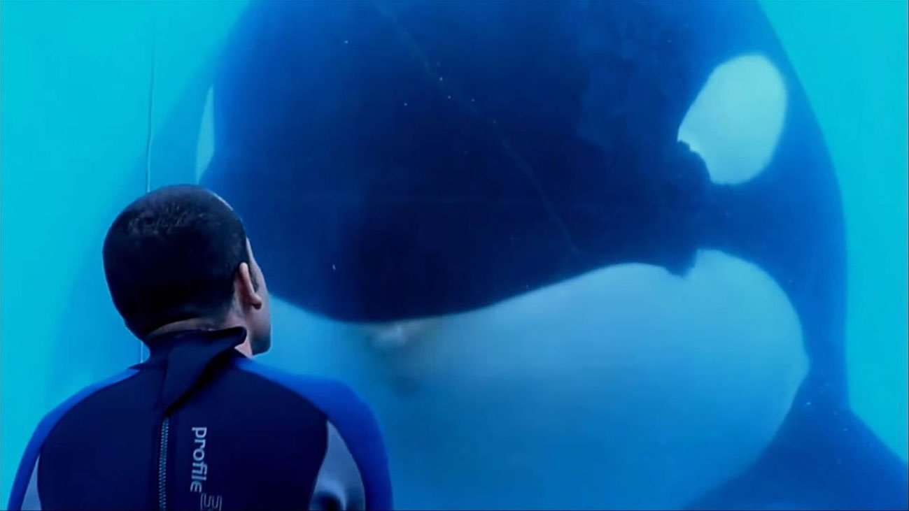 documentari-sugli-animali