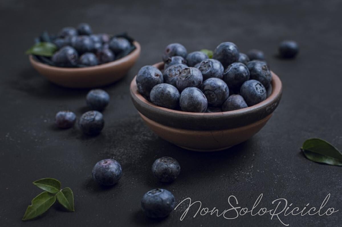 scopri le proprietà dei mirtilli