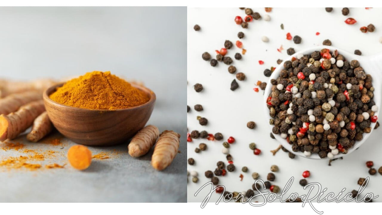 piperina e curcuma