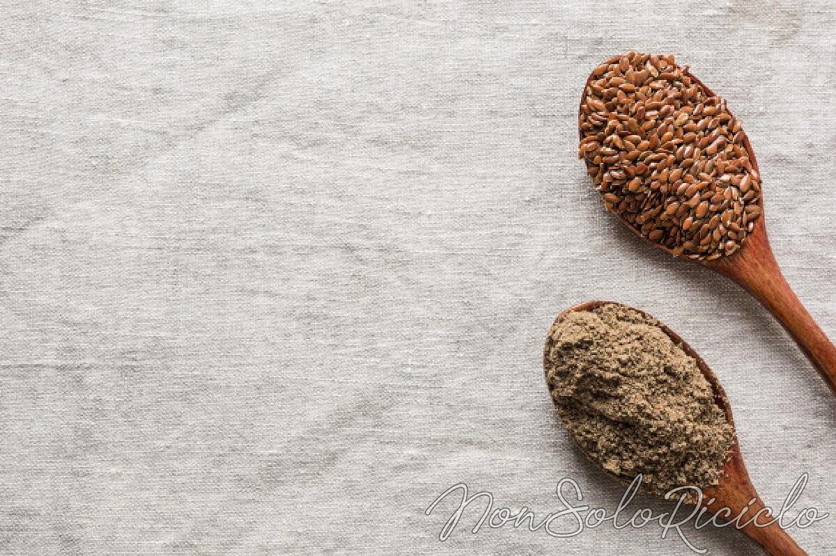 farina di semi di lino
