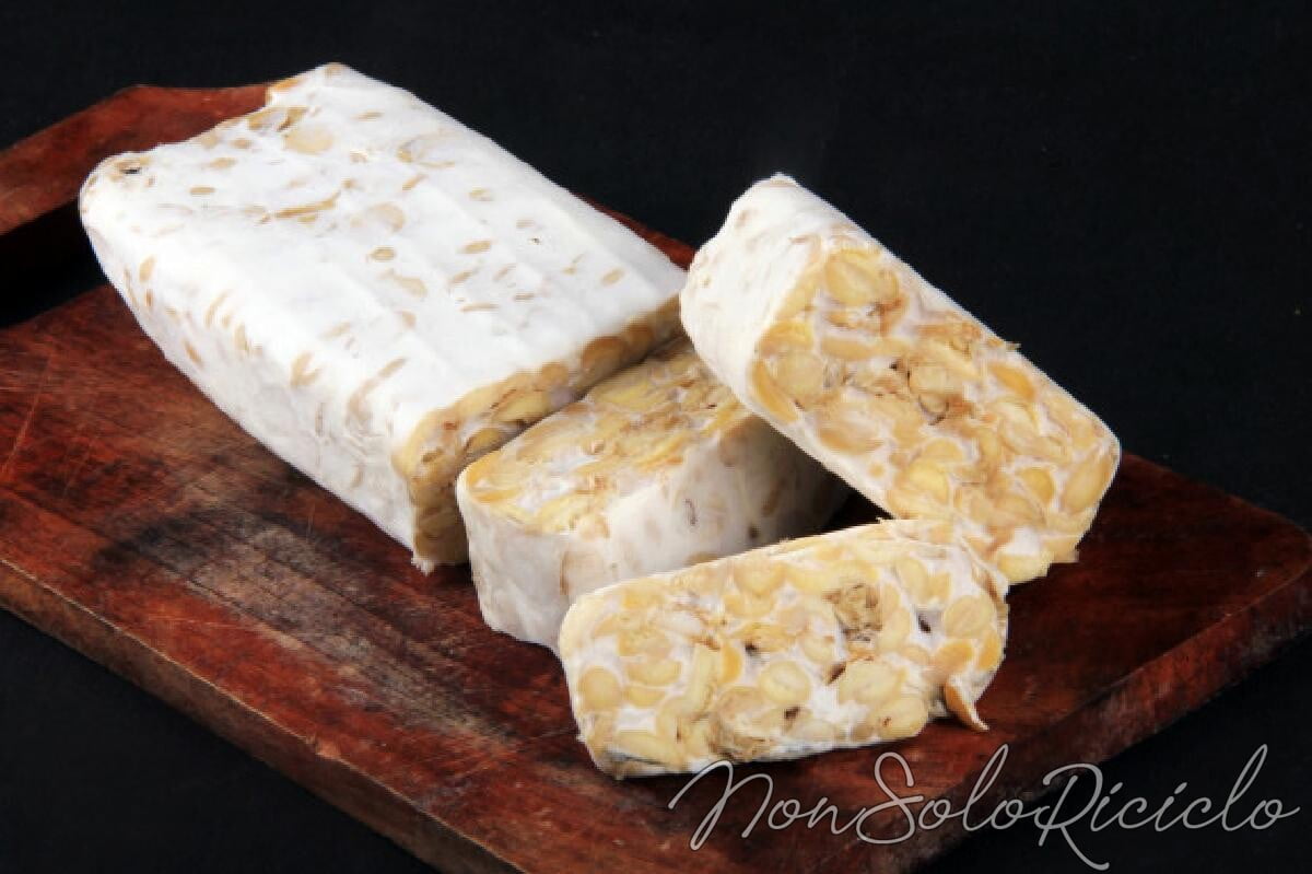 guida al tempeh