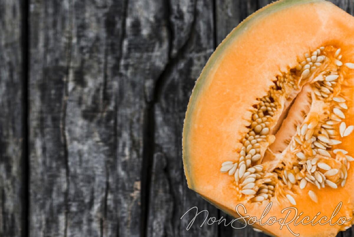 i semi del melone
