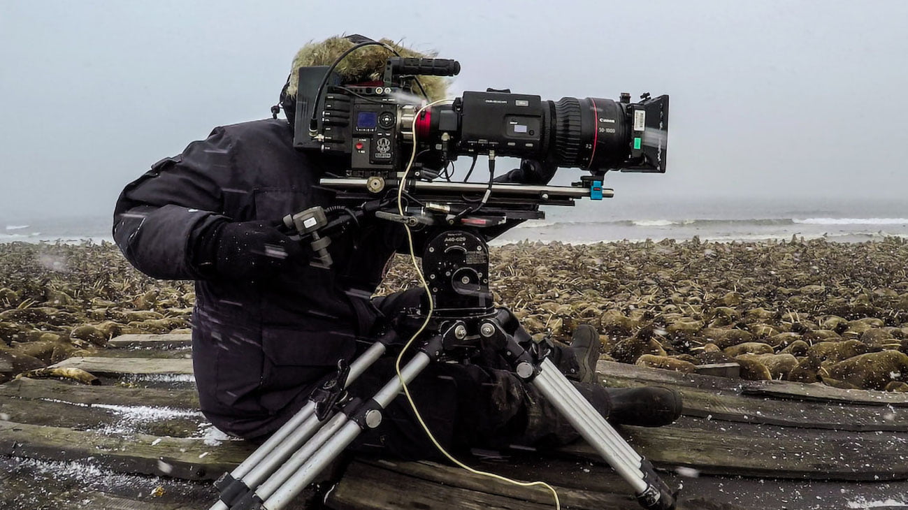 documentari-americani-netflix