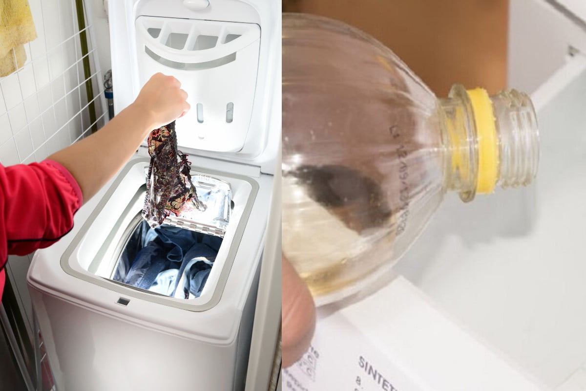 aceto bianco in lavatrice cosa aceto in lavatrice