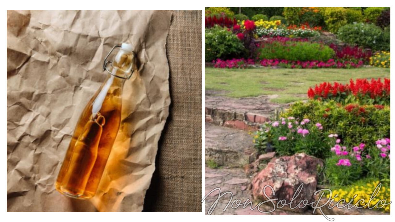 aceto per il giardino