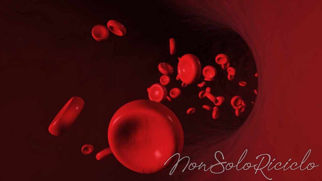 aumentare emoglobina