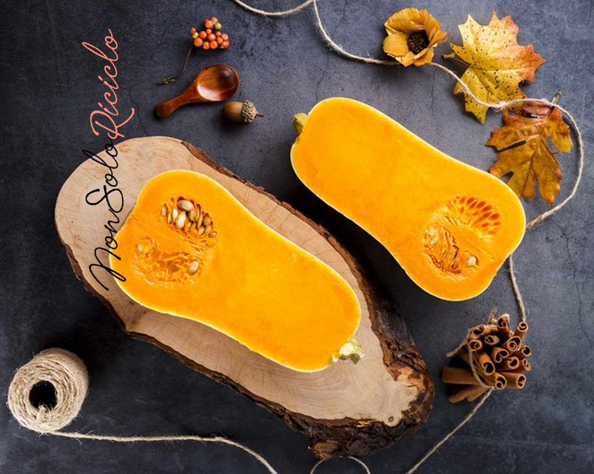 zucca butternut