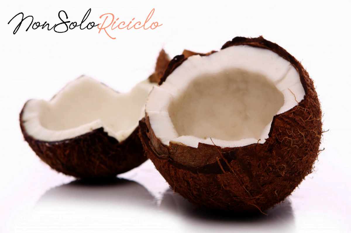 proprietà della noce di cocco