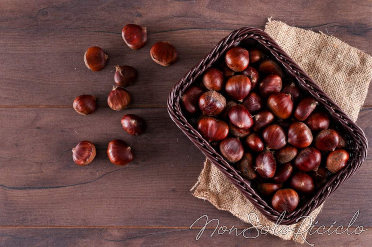 castagna anti raffreddore