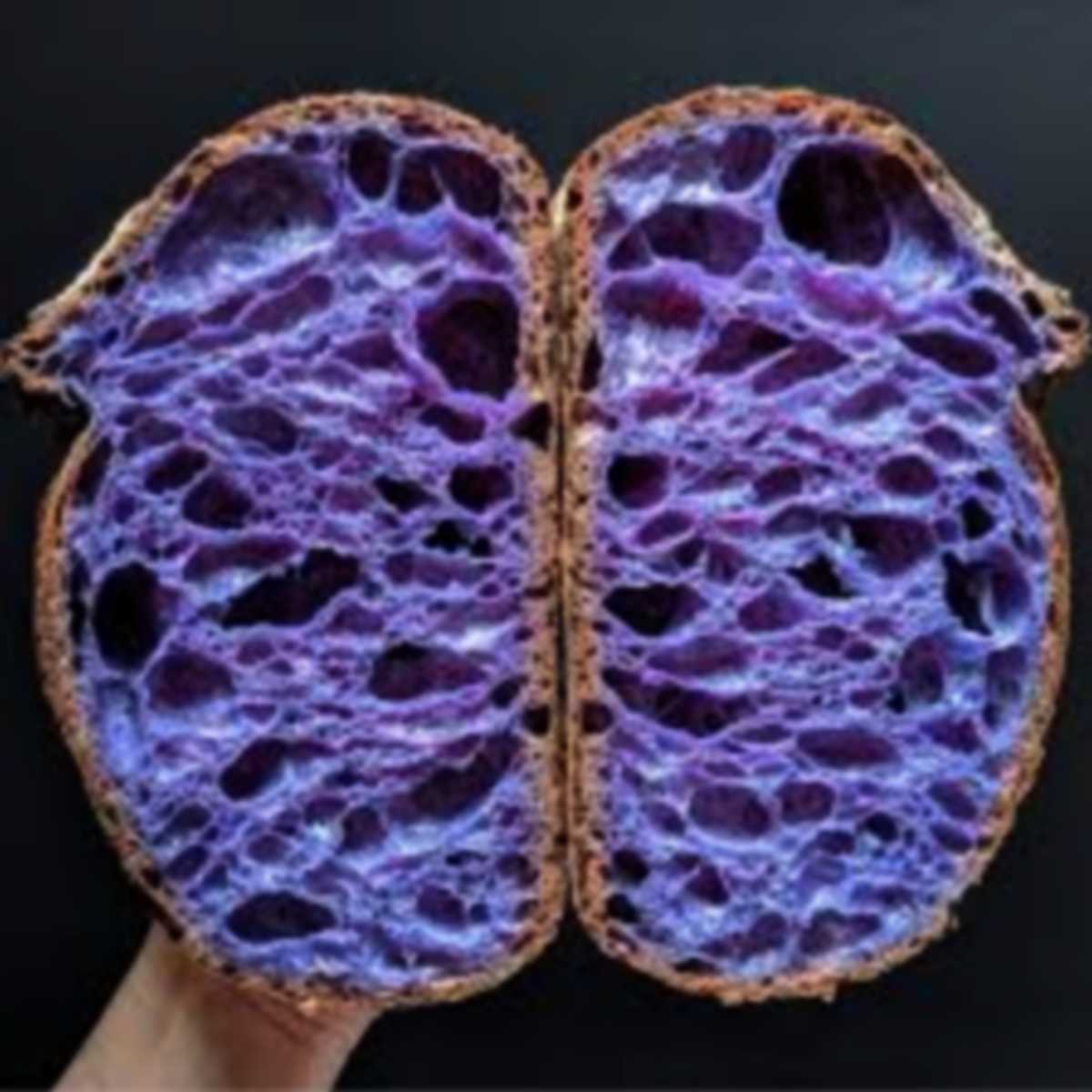 il pane blu della salute