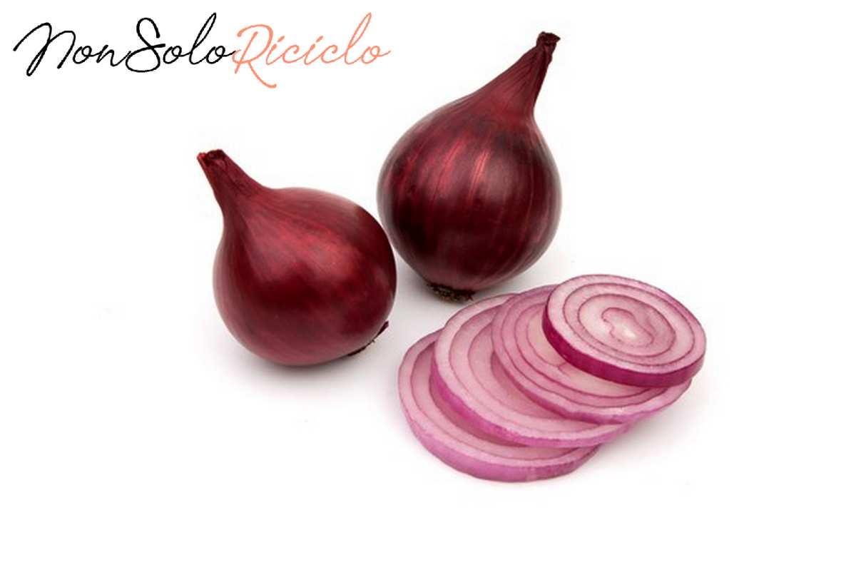 cipolla cruda
