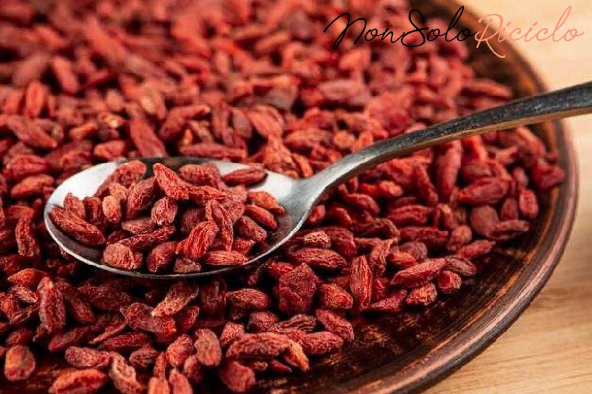 goji