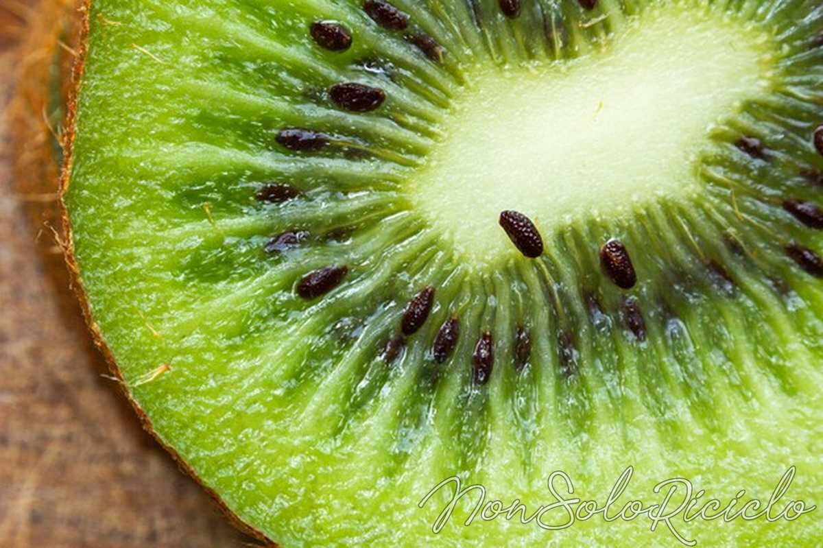 kiwi