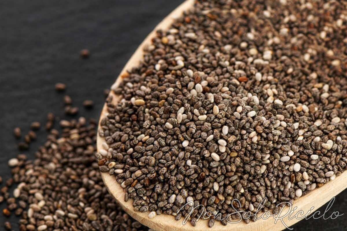 semi di chia