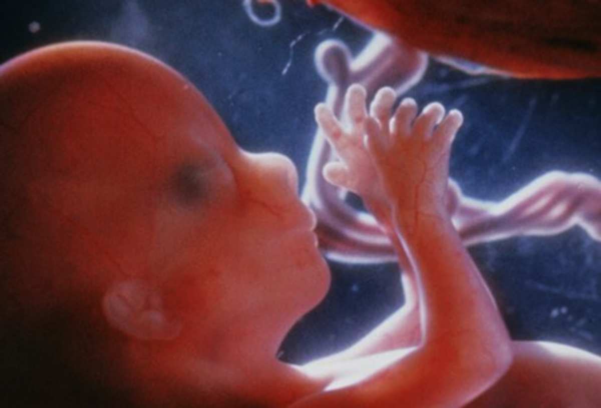 calcolo settimane di gravidanza