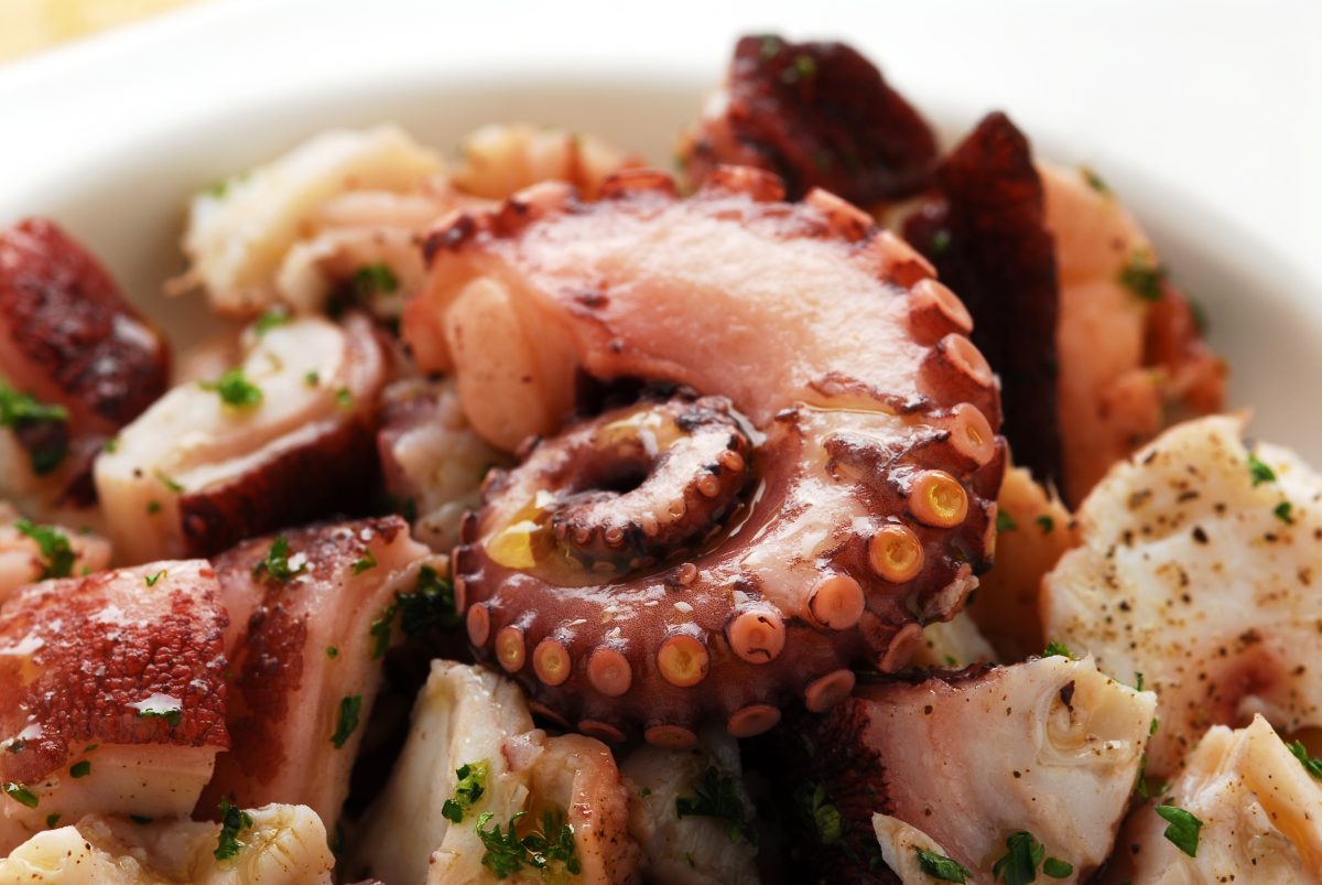 come cuocere il polpo in AdobeStock 15180821