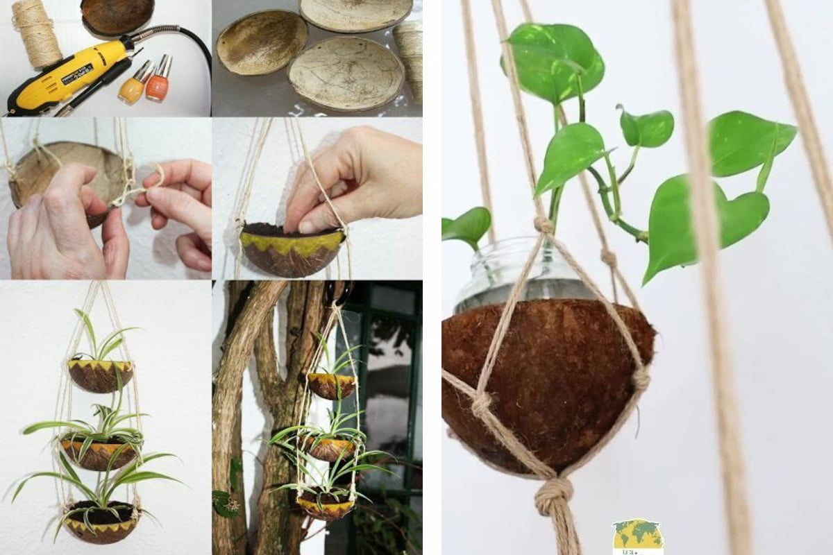 giardino pensile con noci di giardino pensile