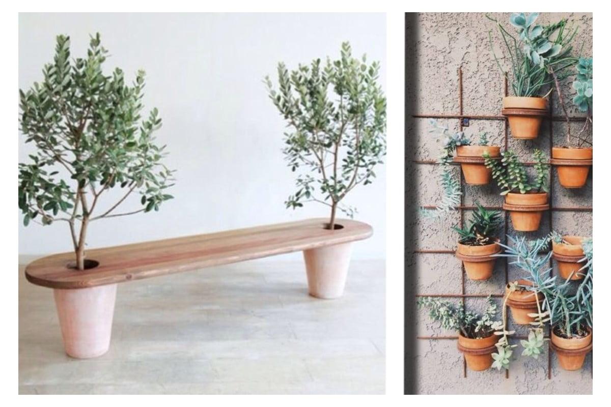 come organizzare piante e fiori piante