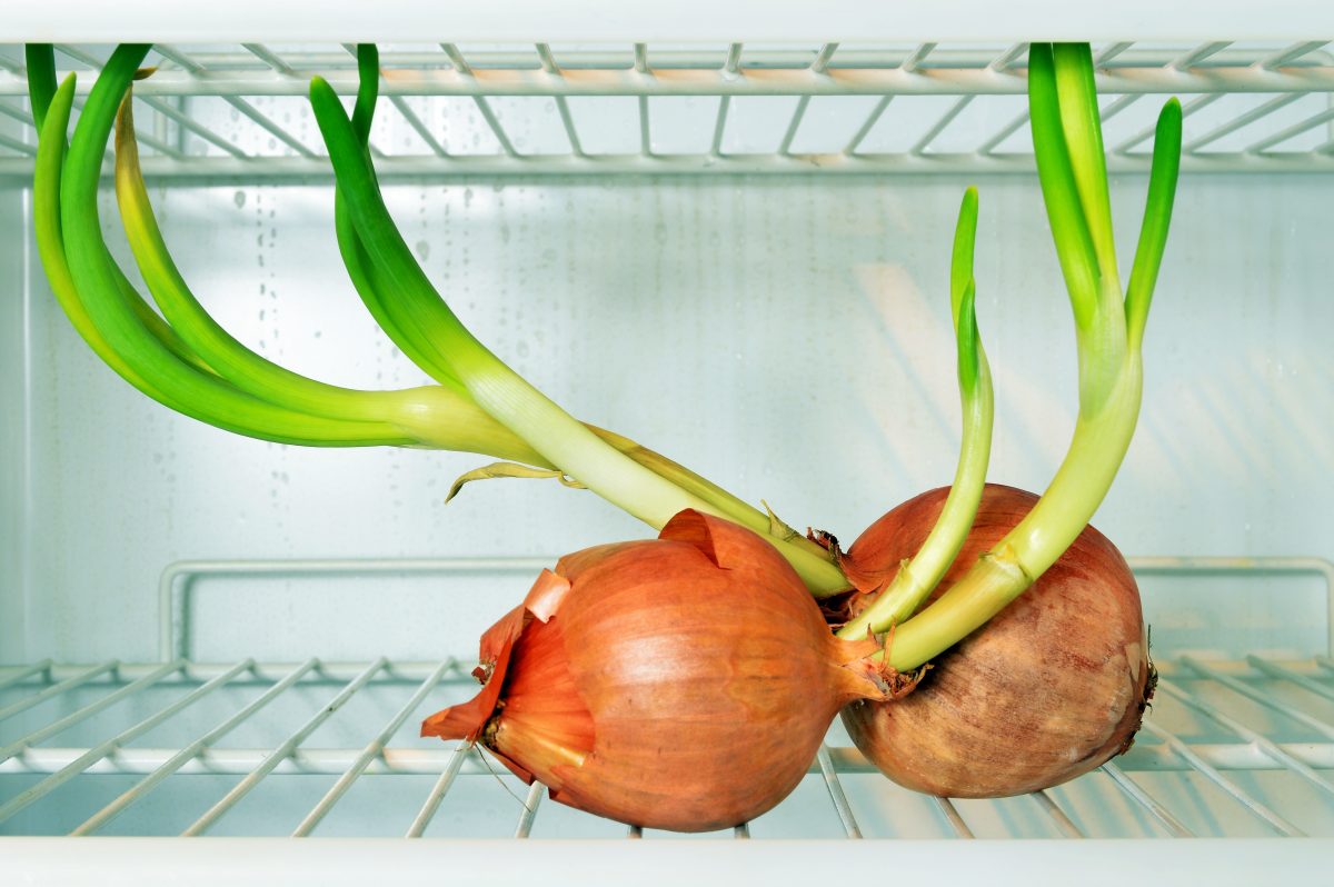 come pulire il frigorifero eliminando AdobeStock 87158307