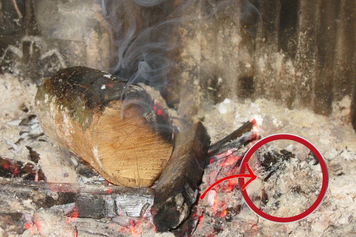 come usare la cenere del cenere camino