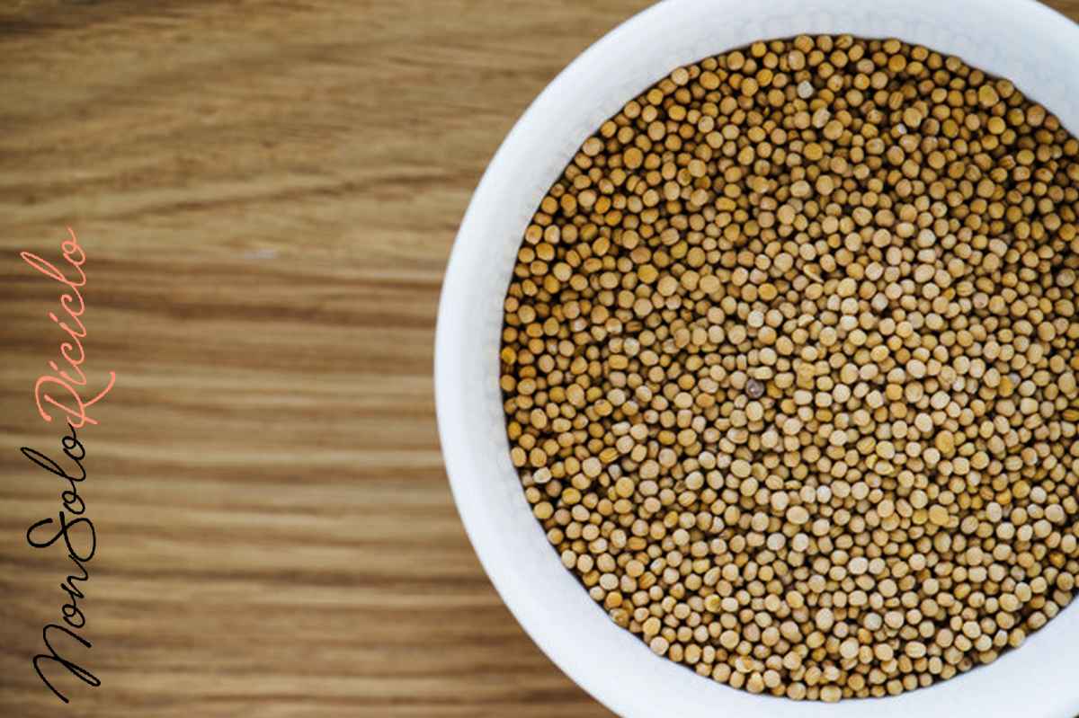 coriandolo cinque benefici effetti sulla closeup coriander seed 53876 32009