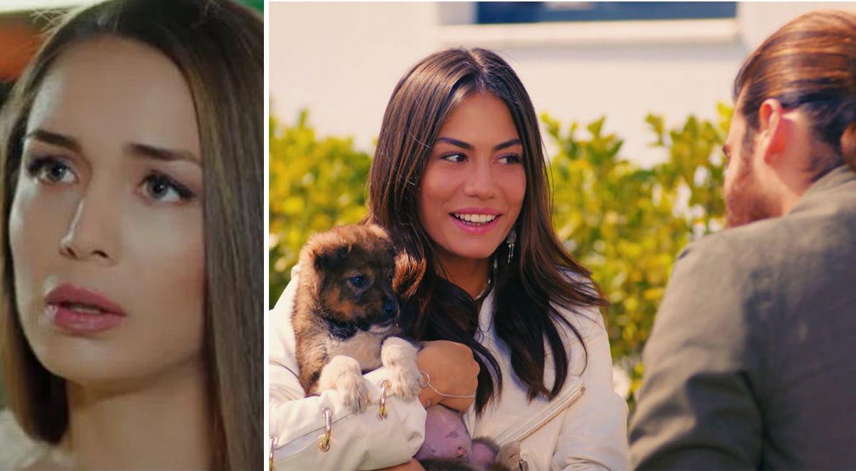 daydreamer anticipazioni Polen e Yigit vogliono raggiungere Can e Sanem al canile, ma Can...