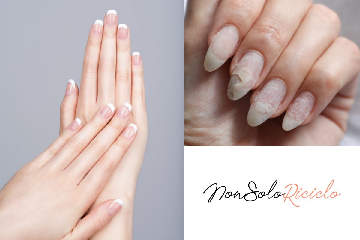 equiseto il rinforzante naturale per 6