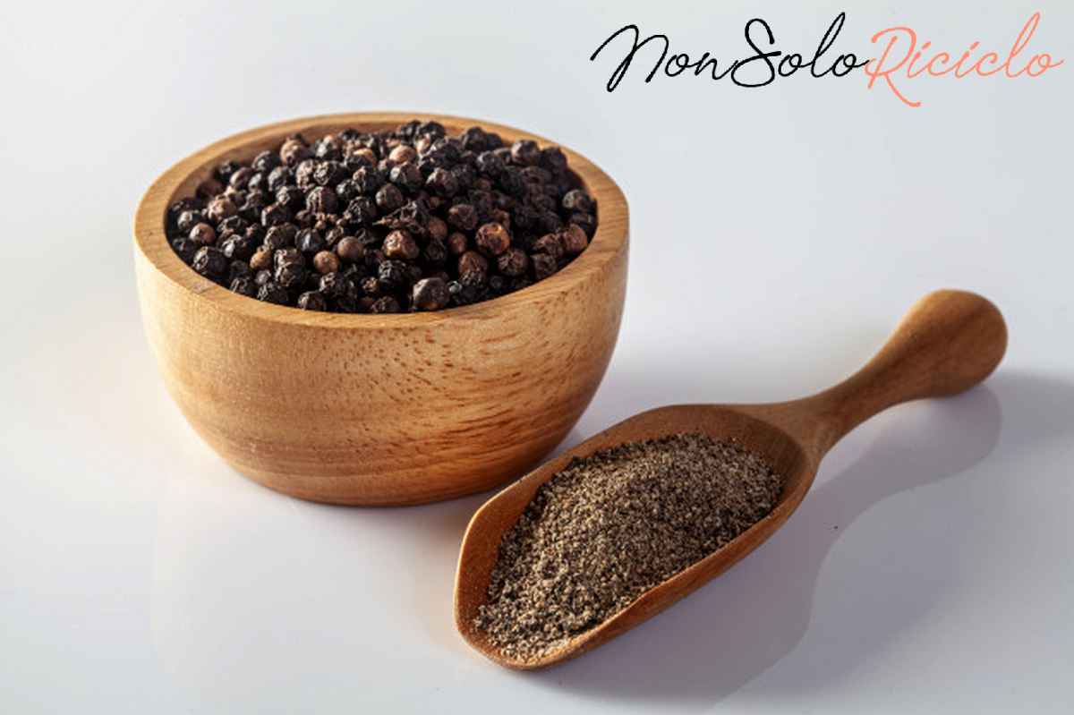 il pepe nero brucia i black pepper pepper grinder white background 45583 1191