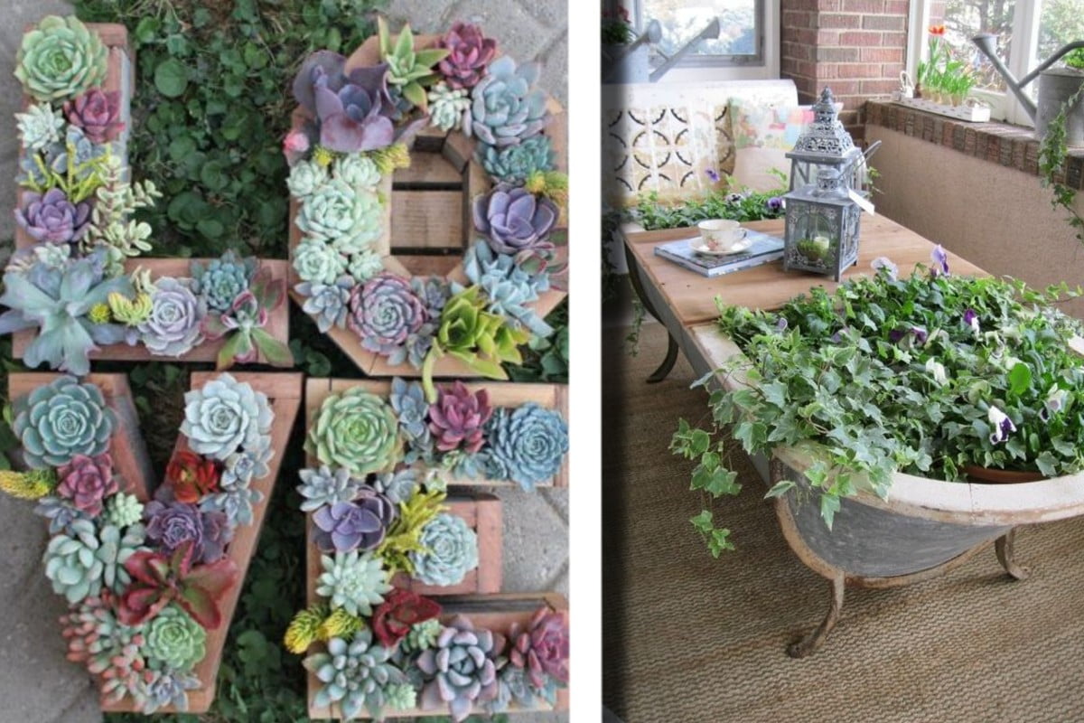 ispirazioni imperdibili per il giardino giardino